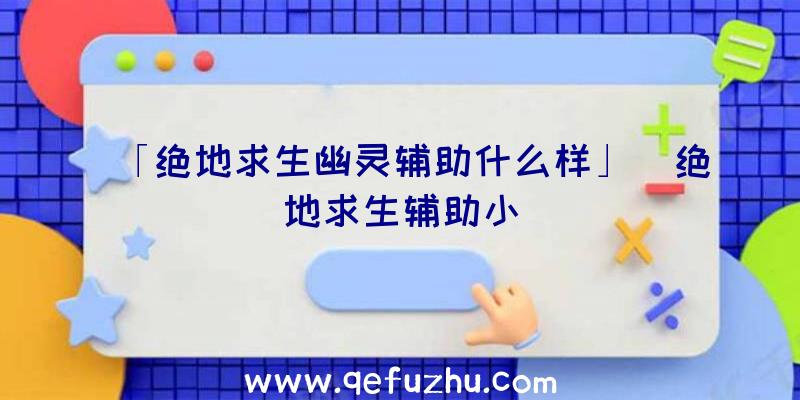 「绝地求生幽灵辅助什么样」|绝地求生辅助小